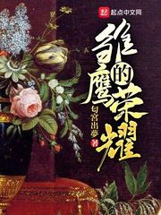 雏鹰的荣耀苏菲第一次